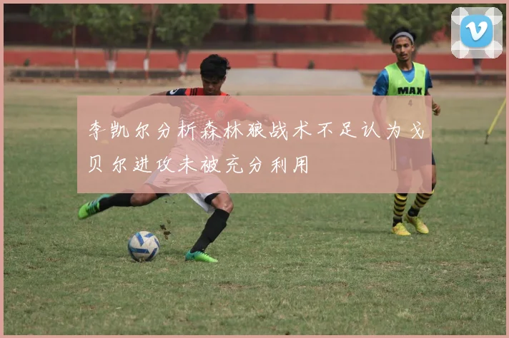 李凯尔分析森林狼战术不足认为戈贝尔进攻未被充分利用